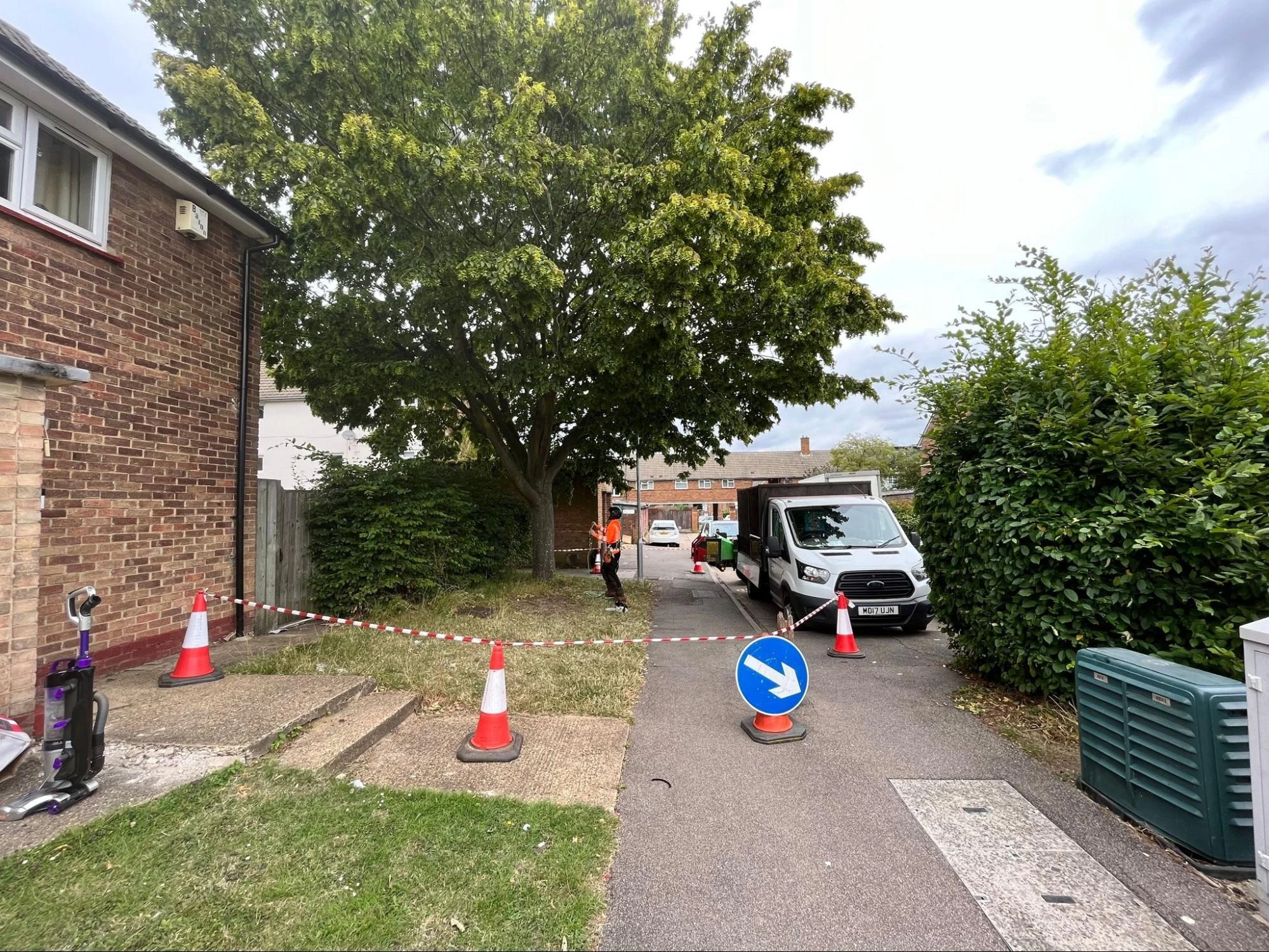 Tree Crown Reduction Purfleet